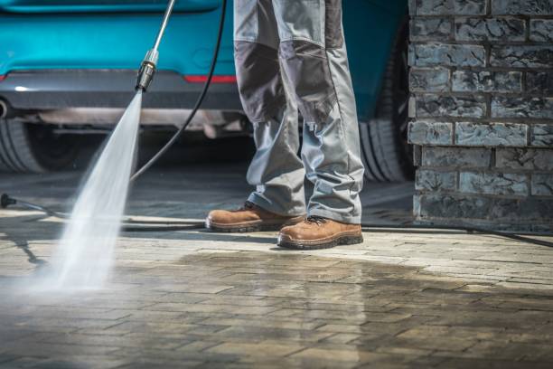 Best Dumpster Area Cleaning  in Albion, IN