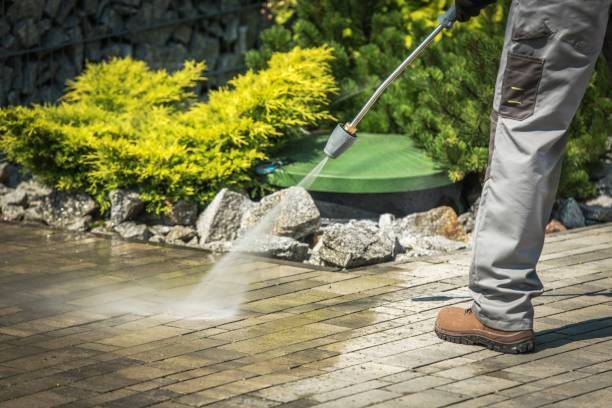 Best House Exterior Washing  in Albion, IN