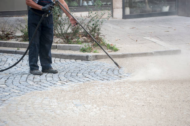 Best Roof Washing  in Albion, IN