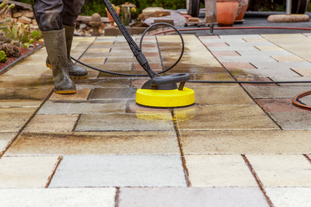 Best Gutter Cleaning  in Albion, IN